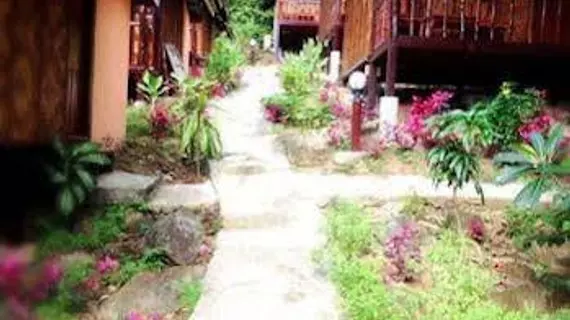 Phi Phi Jungle Hill Bungalow | Krabi İli - Ko Phi Phi