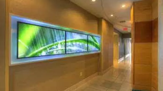 SpringHill Suites by Marriott - Tampa Brandon | Florida - Tampa (ve civarı) - Tampa