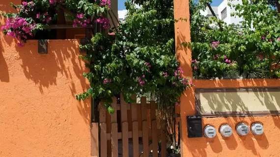 Casa Pitaya | Quintana Roo - Solidaridad - Playa del Carmen - Centro