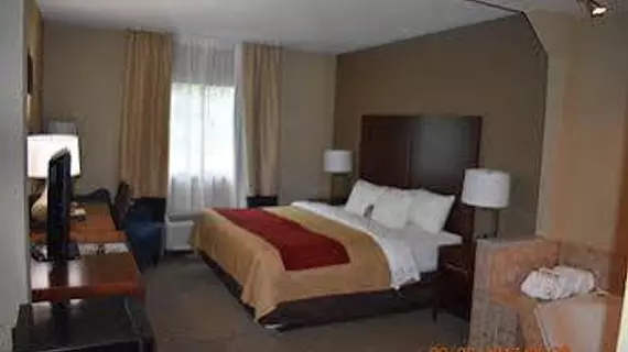 Comfort Inn Bordentown | New Jersey - Upper Freehold Township - Trenton (ve civarı) - Bordentown