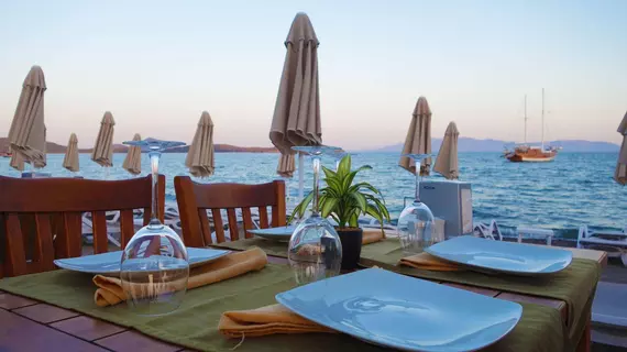 Zest Exclusive Hotel | Muğla - Bodrum - Ortakent