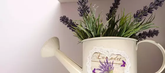 Lavender Garden Apartments | Dubrovnik-Neretva - Dubrovnik (ve civarı) - Dubrovnik - Dubrovnik Eski Kent Bölgesi