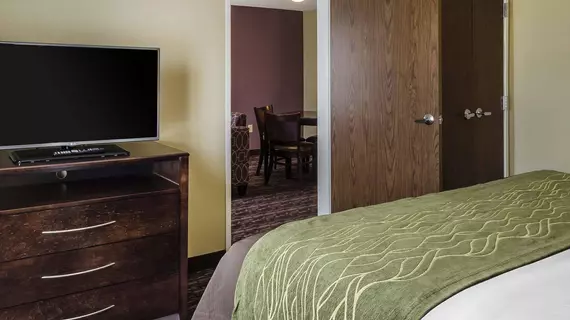 Comfort Inn & Suites Dothan | Alabama - Dothan (ve civarı) - Dothan