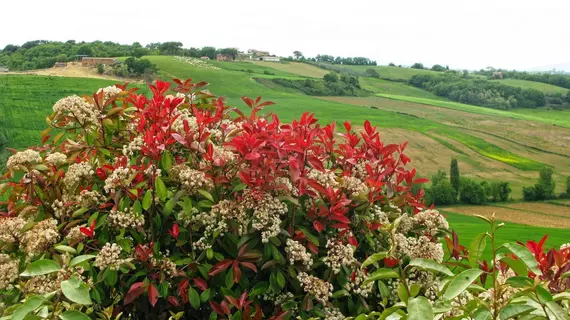 Agriturismo Santa Margherita | Umbria - Perugia (vilayet) - Castiglione del Lago