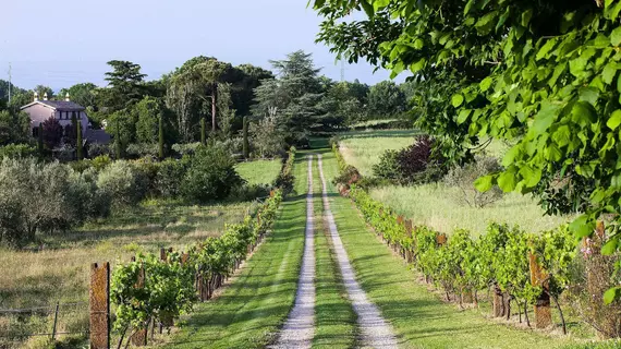 Villa Farinella | Lazio - Viterbo (vilayet) - Viterbo