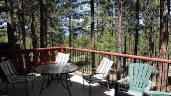 1210 Timber Lane | Kaliforniya - Lake Tahoe (ve civarı) - South Lake Tahoe