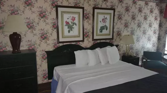 Branson Victorian Inn | Missouri - Branson (ve civarı) - Branson - Branson Theater District