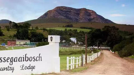 Assegaaibosch Country Lodge | Eastern Cape - Kou-Kamma - Kareedouw