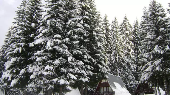 Malina Villas | Smolyan - Pamporovo