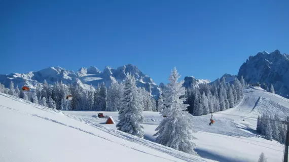 Gasthof Waldwirt | Salzburg (eyalet) - Hallein - Russbach am Pass Gschuett