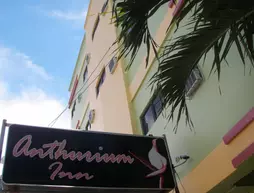 Anthurium Inn | Mactan Island - Lapu-Lapu