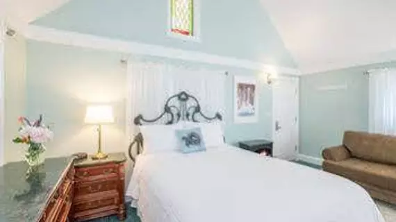 The Victorian Inn | Kolorado - Ouray County - Telluride (ve civarı) - Telluride