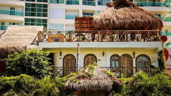 Hostel Natura | Quintana Roo - Benito Juárez - Cancun (ve civarı) - Oteller Bölgesi - Avenida Kukulkan