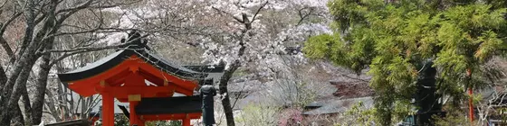 Atarashiya Ryokan Dorogawaonsen Hot Spring | Nara (idari bölge) - Tenkawa