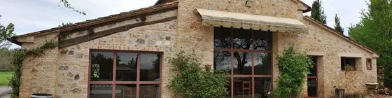 Agriturismo Nerbona | Toskana - Siena (vilayet) - San Gimignano - Val d'Elsa