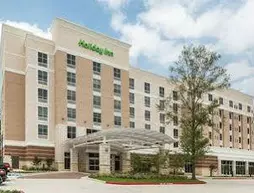 Holiday Inn Shenandoah-The Woodlands | Teksas - Conroe (ve civarı) - Shenandoah