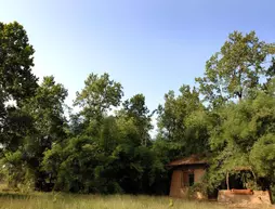 Mahua Kothi Bandhavgarh National Park | Madya Pradeş - Bandhogarh