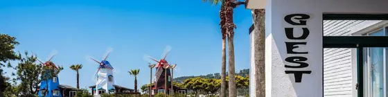 Olle Windmill Pension and Guesthouse | Jeju Adası - Seogwipo - Jungmun