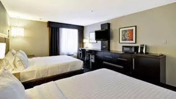 Holiday Inn Express Romulus / Detroit Airport | Michigan - Detroit (ve civarı) - Romulus