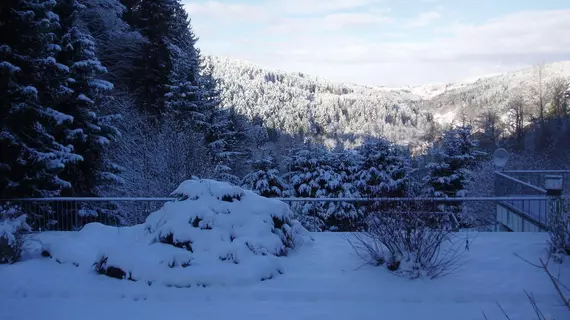 Berghotel Schwarzwaldblick | Baden-Wuerttemberg - Triberg im Schwarzwald