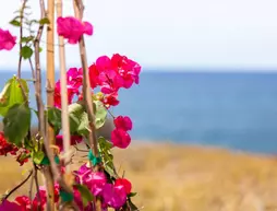 Capeland Houses | Ege Adaları - Santorini