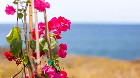 Capeland Houses | Ege Adaları - Santorini