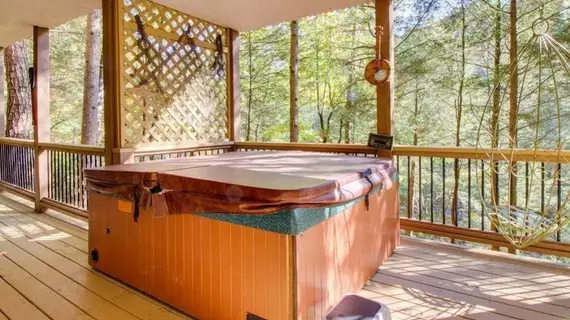 Moonshine Rapids Cabin | Georgia - Blue Ridge (ve civarı) - Ellijay