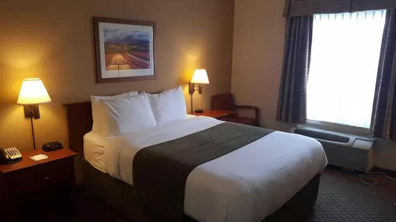 Quality Inn Airport | New Brunswick - Moncton (ve civarı) - Dieppe