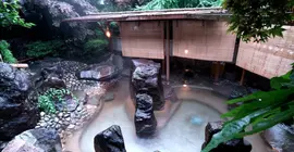 Yugawara Spa Ryokan Ashikari | Kanagava (idari bölge) - Ashigarashimo Bölgesi - Hakone (ve civarı) - Yugawara