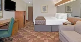 Microtel Inn by Wyndham Denver | Kolorado - Denver (ve civarı) - Denver