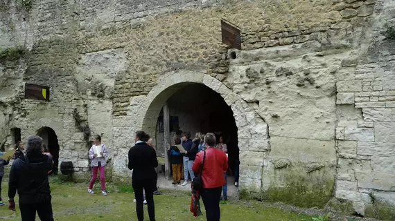 Demeure Château de Ternay | Nouvelle-Aquitaine - Vienne (bölge) - Ternay