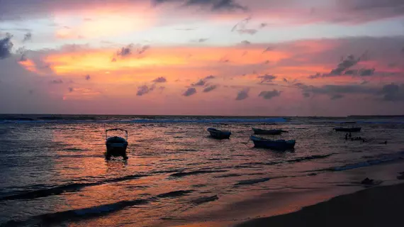 YKD Tourist Rest | Southern Province - Galle Bölgesi - Hikkaduwa - Nalagasdeniya