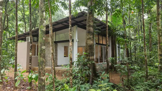 Palmstone Retreat Kithulgala | Yatiyantota