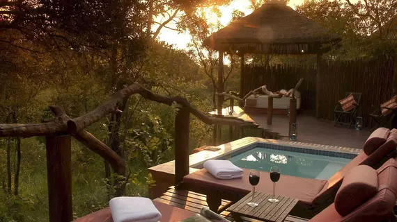 Simbambili Game Lodge | Mpumalanga - Mbombela - Kruger National Park