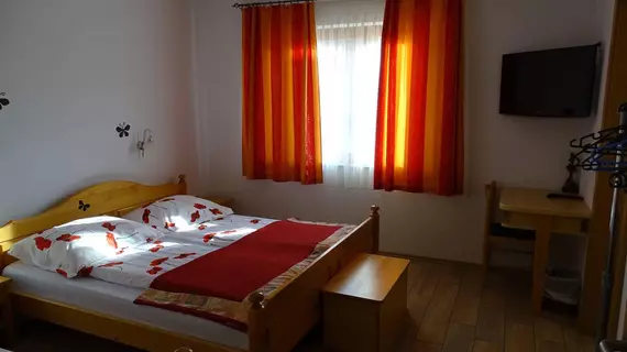 Guesthouse Mesec Zaplana | Logatec - Vrhnika