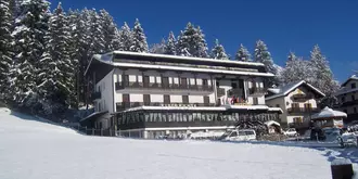 Hotel Pineta