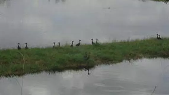 Club y Centro Ecoturistico San Martin | Francisco Morazan (bölge) - San Ignacio