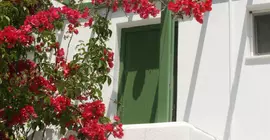 Adonis Hotel & Apartments | Ege Adaları - Paros