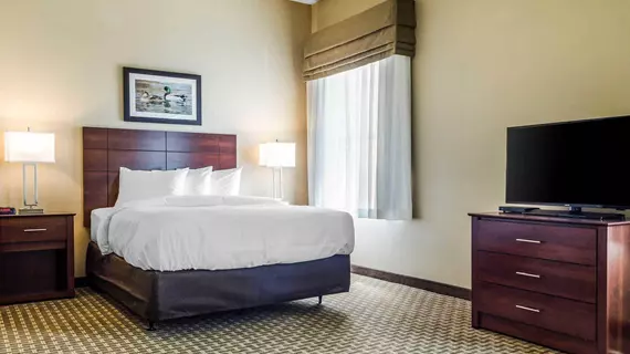 MainStay Suites Hackberry Sportsmans Lodge | Louisiana - Lake Charles (ve civarı) - Hackberry