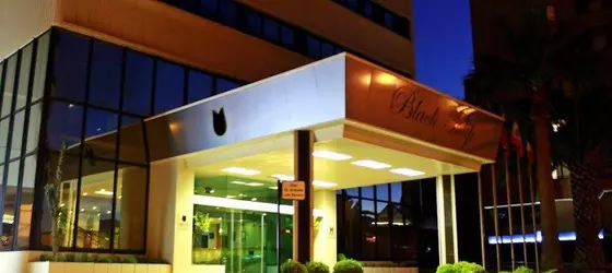 Hotel Black Tulip | Norte - Porto Bölgesi - Vila Nova de Gaia