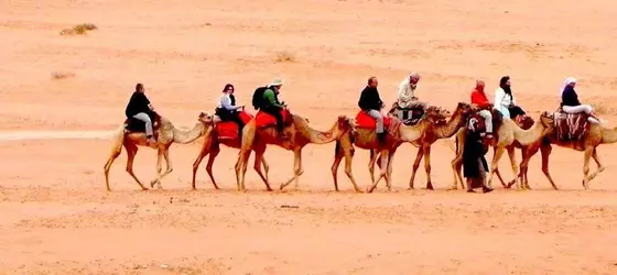 Rainbow Camp | Akabe İli - Wadi Rum