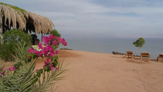 Bedouin Star | Güney Sina (il) - Nuweiba