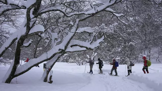 Nikko Astraea | Toçigi (idari bölge) - Nikko