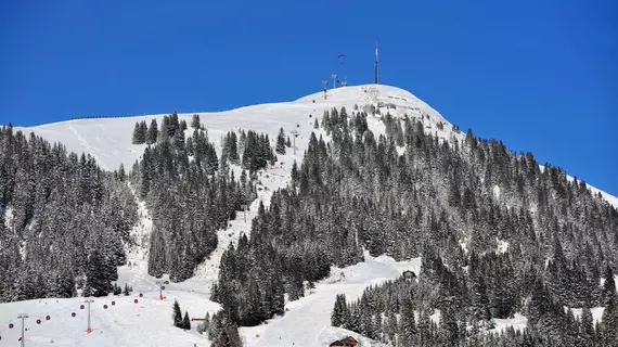 Haus Haggenmüller | Tirol - Kitzbühel District - Kitzbuehel (ve civarı) - Hopfgarten im Brixental - Hopfgarten Markt