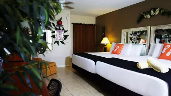 Rooftop Resort - Clothing Optional - Adult Only | Florida - Fort Lauderdale (ve civarı) - Hollywood