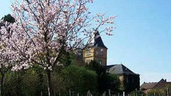 Hotel Schloss Edesheim | Rhineland-Palatinate - Südliche Weinstraße - Edesheim