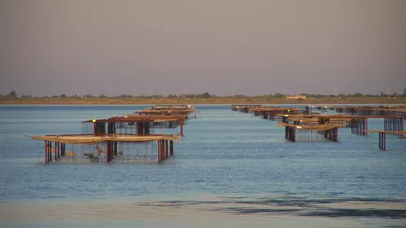 Résidence Grand Bleu La Grenadine | Occitanie - Herault (bölge) - Beziers (ve civarı) - Marseillan