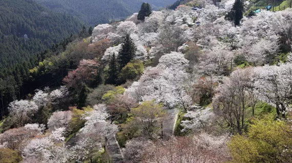 Ryokan Kato | Nara (idari bölge) - Nara (ve civarı) - Yoshino