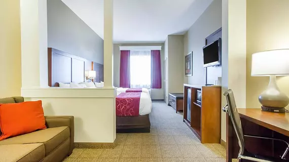 COMFORT SUITES ABILENE | Teksas - Abilene (ve civarı) - Abilene