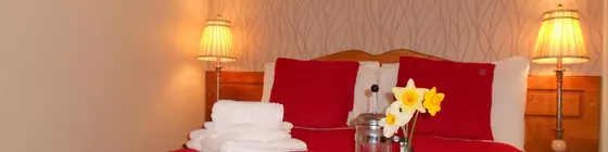 The Gardens B&B | Kerry (kontluk) - Killarney